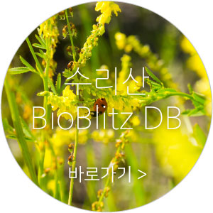 수리산 BioBlitz DB 바로가기